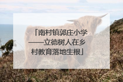 南村镇郭庄小学——立德树人在乡村教育落地生根